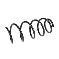 Coil spring in front