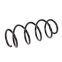 Coil spring in front