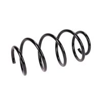 Coil spring in front