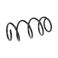 Coil spring in front