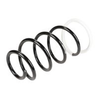 Coil spring in front