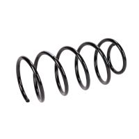 Rear suspension spring