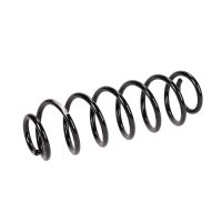 Rear suspension spring