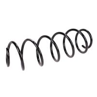 Coil spring in front
