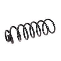 Rear suspension spring