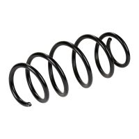Coil spring in front