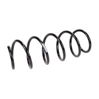 Coil spring in front