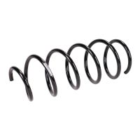 Coil spring in front