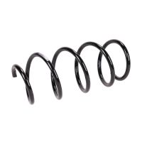 Coil spring in front