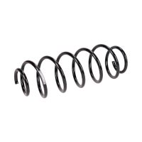 Rear suspension spring