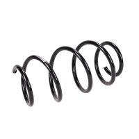 Coil spring in front