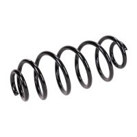 Rear suspension spring