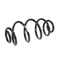 Rear suspension spring