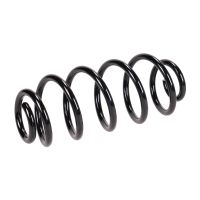 Rear suspension spring