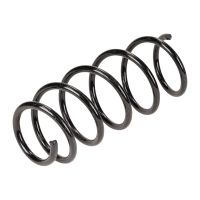 Front coil spring