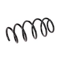 Coil spring in front