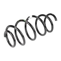 Chassis springs