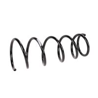 Coil spring in front