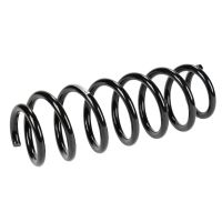 Rear coil spring