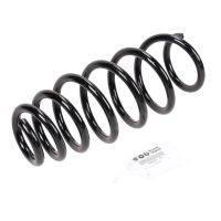 Sportivo coil spring