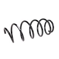 Coil spring in front
