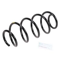 Front coil spring