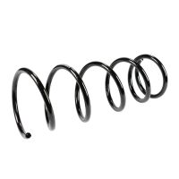 Coil spring in front