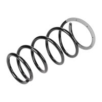 Front coil spring