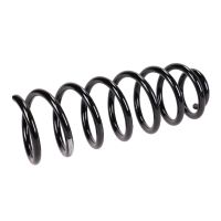 Rear suspension spring