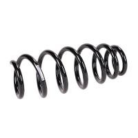 Coil spring in front
