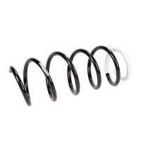 Coil spring in front