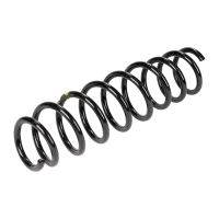 Rear suspension spring