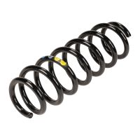 Rear coil spring