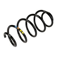 Front coil spring
