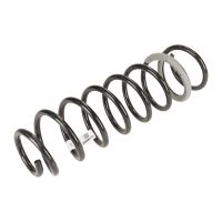 coil spring at the front