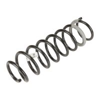 coil spring front