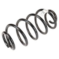 coil spring rear