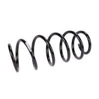 Coil spring in front