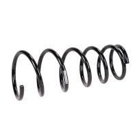 Coil spring in front