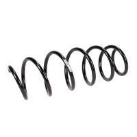 Coil spring in front