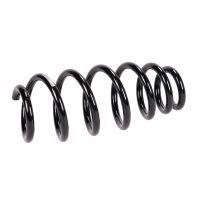 Coil spring in front