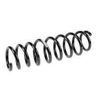 Rear suspension spring