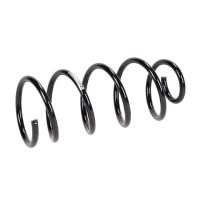 Rear suspension spring