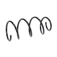 Rear suspension spring