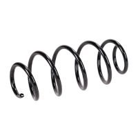 Coil spring in front