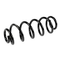 Rear suspension spring