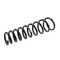 Coil spring in front