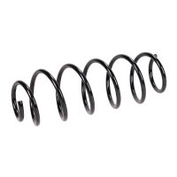 Rear suspension spring