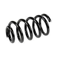 Rear suspension spring