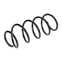 Coil spring in front